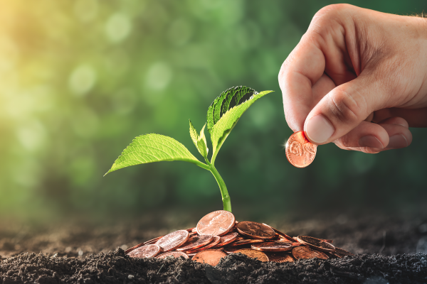 Greenfield Investments - A Comprehensive Guide- D&B India