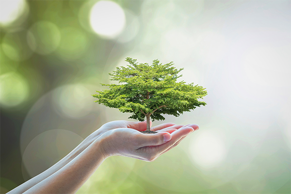 ESG: The only way for sustainable and responsible growth- D&B India