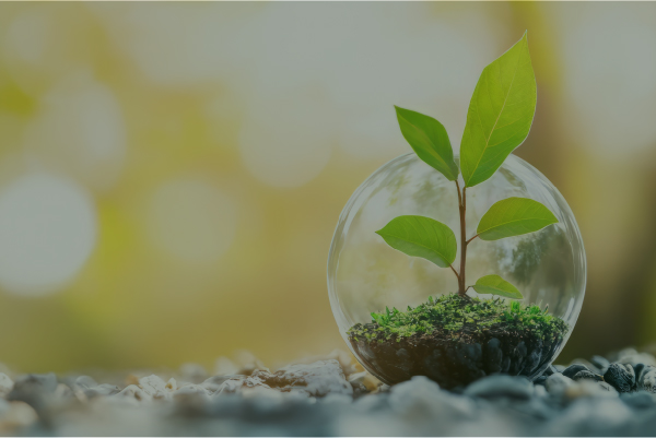 A global pharmaceutical leader enhances Supplier ESG Assessment with D&B Risk Analytics Tool