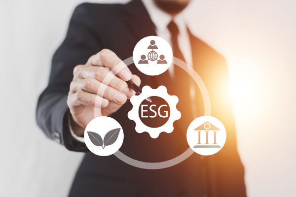 D&B Economic & Social Impact Assessment | Comprehensive Impact Measurement