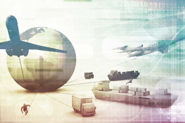 D&B Supply Management Solutions | Safeguard Your Business