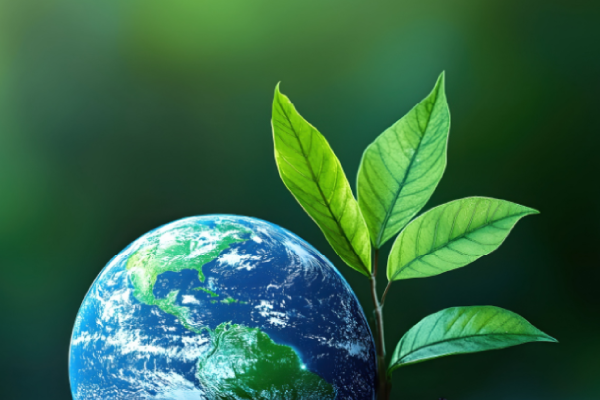 ESG Advisory Services & Reporting | D&B for Sustainable Growt